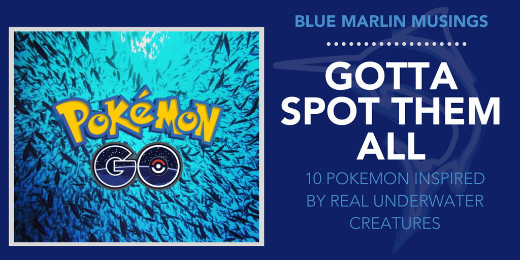 1024px x 512px - Gotta Spot Them All: 10 Pokemon Inspired by Real Underwater ...