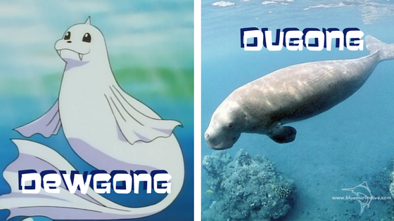 dewgong-dugong